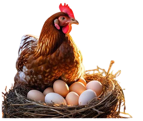 Trusted veterinary pharma companies India